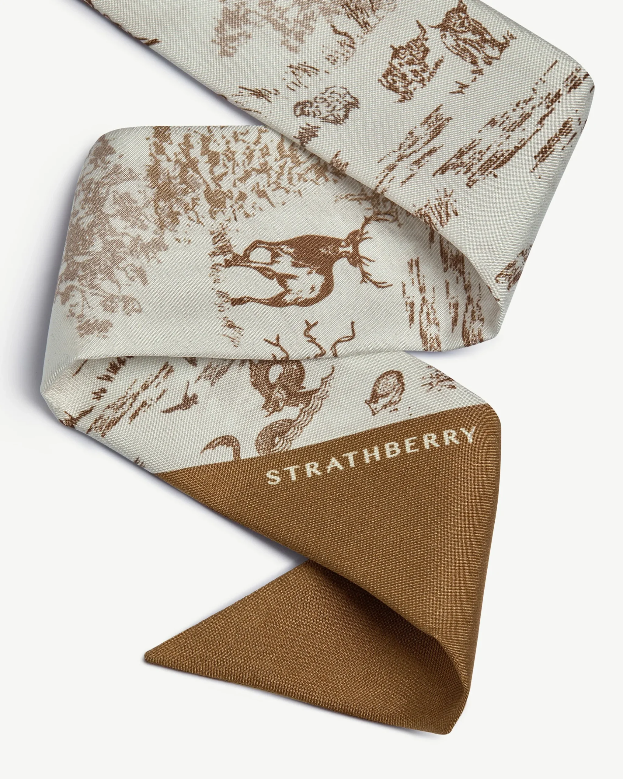 Silk Skinny Scarf